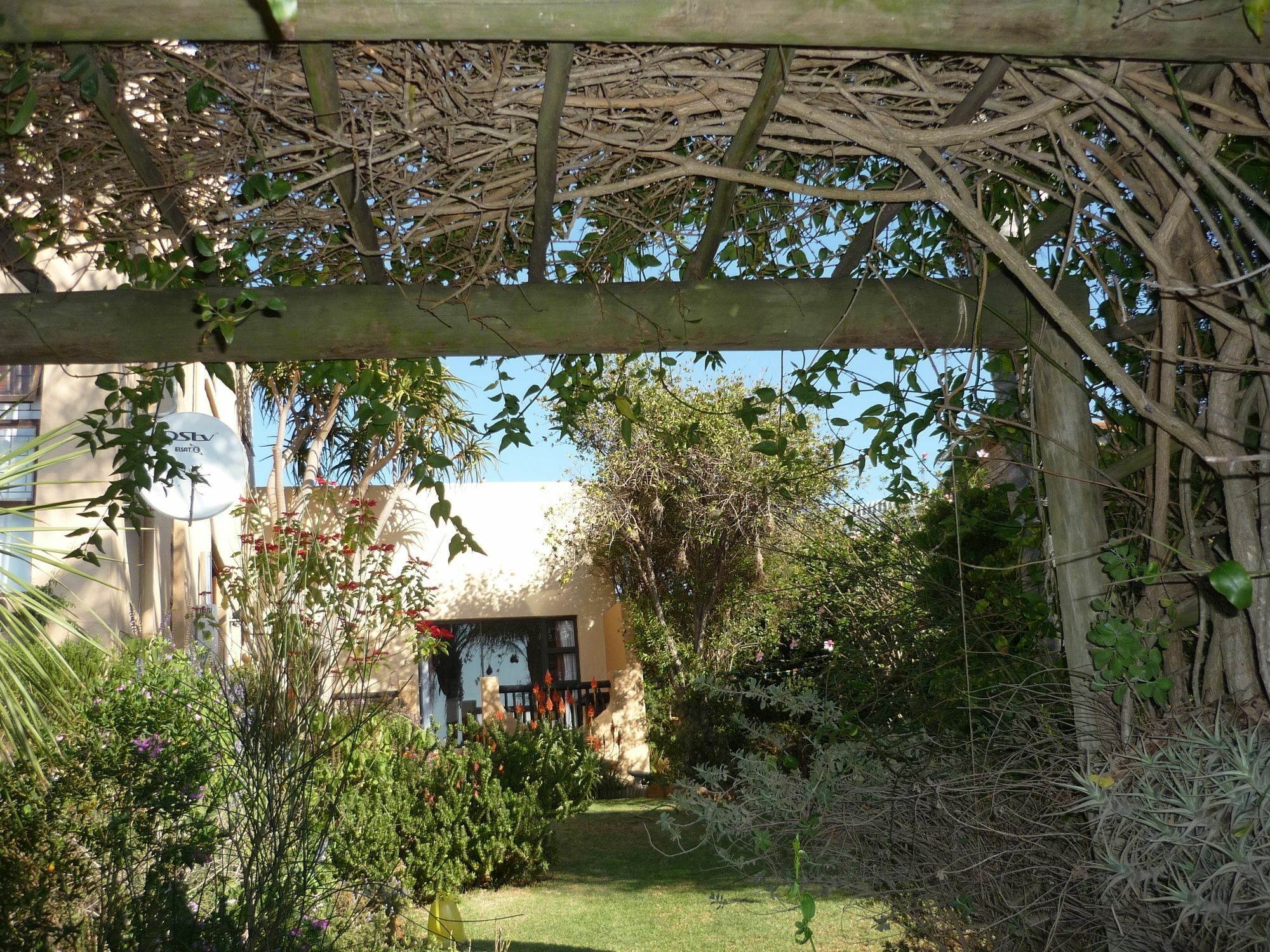 A1 Kynaston Self Catering Or Bed And Breakfast Solarpower Jeffreys Bay Exterior foto
